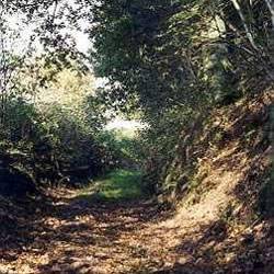 Hohlwege / Hohlwegbündel / Mittelalterliche Fernstrassen