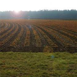 Ansicht Ackerfläche